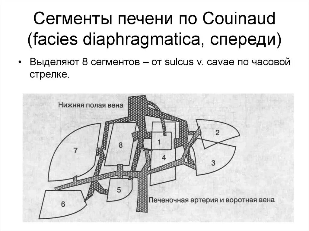 Сегменты печени мрт кт. Сегменты печени мрт схема. Сегментарное строение печени на кт. Сегменты печени на кт схема. Узи печени схема