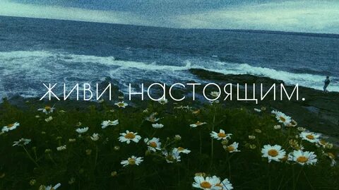 Где по настоящему живу