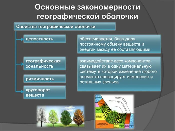 Перечислите природно территориальные компоненты. Основные закономерности развития географической оболочки.. Характеристика географической оболочки. Закономерности в географии. Закономерности строения географической оболочки.