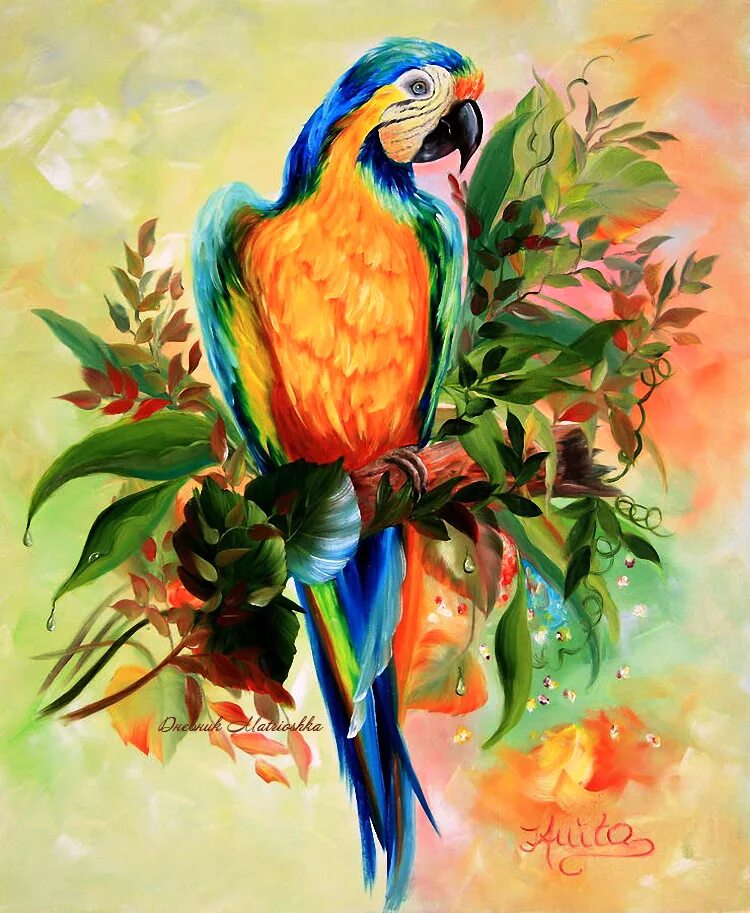 Bird art. Акварельная живопись попугаи ара жако. Птицы гуашью. Экзотические птицы акварель. Попугай гуашью.