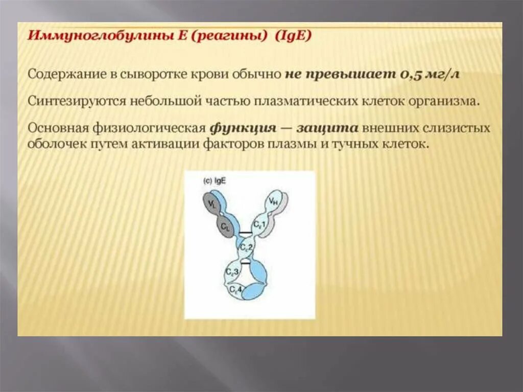 Иммуноглобулины e повышены. Иммуноглобулин е функции. Функции иммуноглобулинов. Иммуноглобулин класса е. Иммуноглобулины синтезируют.