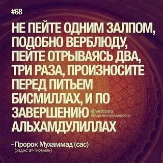 Мусульманский цитаты со смыслом короткие