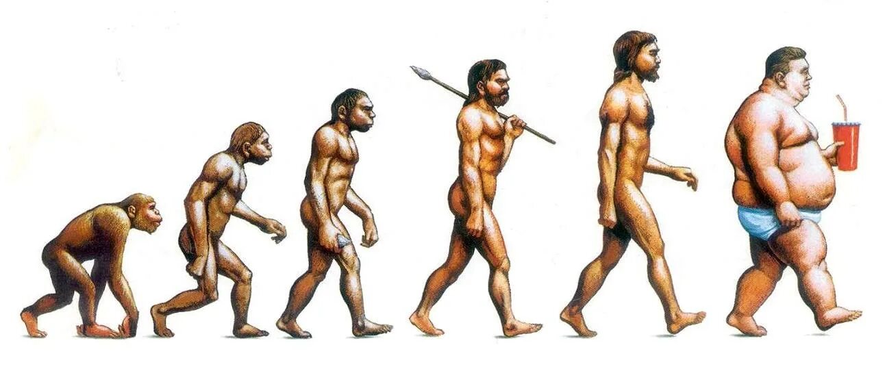 Размножение и развитие человека 8. Ступени эволюции человека. Эволюция человека от обезьяны. От обезьяны к человеку. Развитие человека.