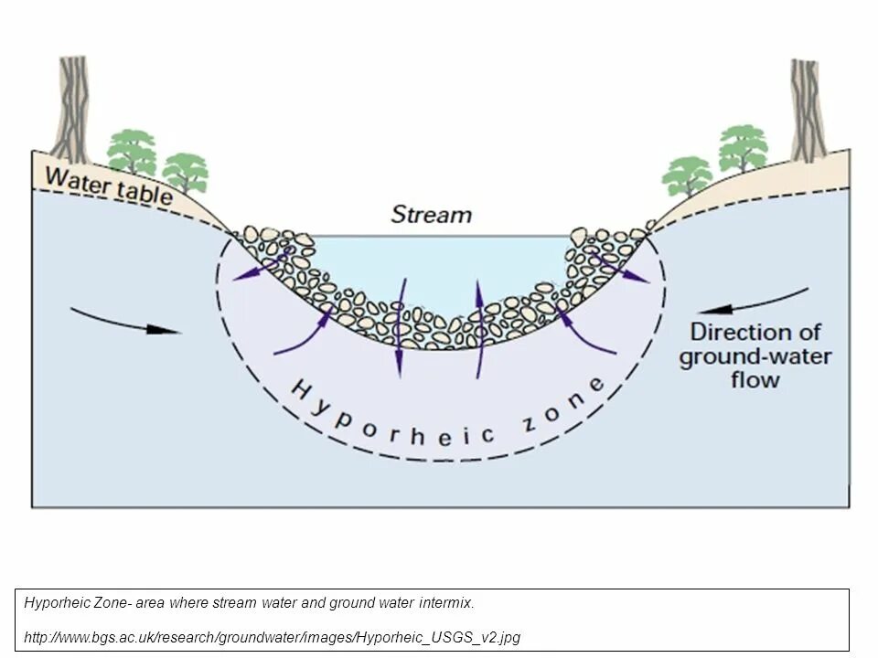 Ground Water. Ground and Water pictures. Dependence of hydrogeodynamic parameters of Underground Water on endogenous processes. Area where mamooths existed. Directory stream