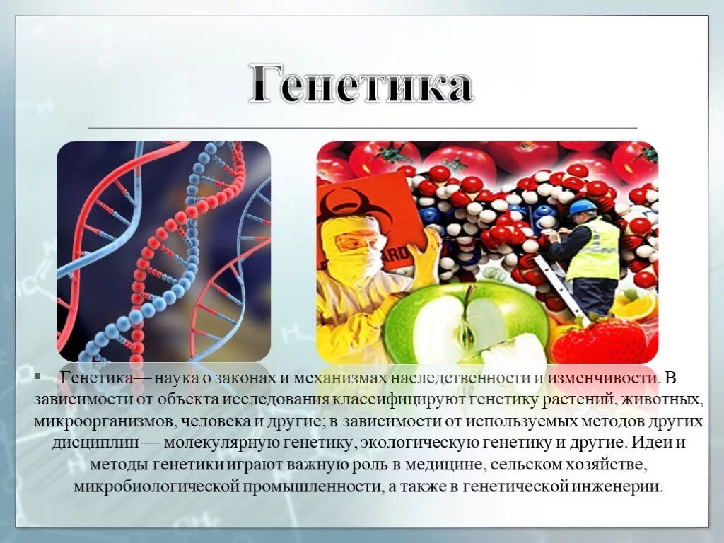 Презентация на тему генетика. Генетические основы селекции кратко. Генетика и селекция кратко. Генетика и селекция презентация.