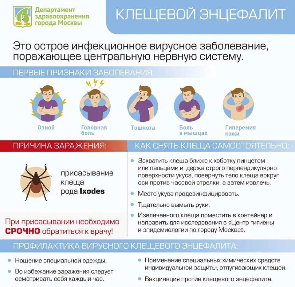 Симптомы энцефалита у человека. Симптомы клещевого вирусного энцефалита. основная мера профилактики клещевого энцефалита. клещи клещевой вирусный энцефалит. клещевой вирусной энцефалит инфографика.