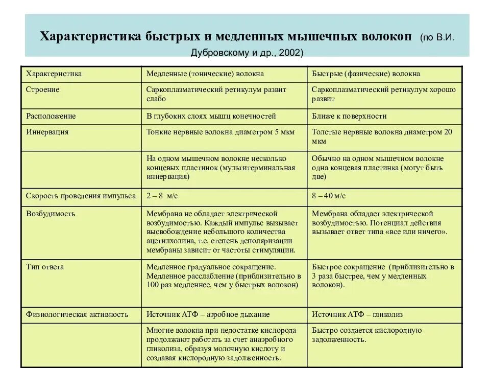 Быстро сравнение. Характеристика быстрых мышечных волокон. Типы мышечных волокон быстрые и медленные. Строение мышечных волокон быстрые и медленные мышечные волокна. Характеристика медленных мышечных волокон.