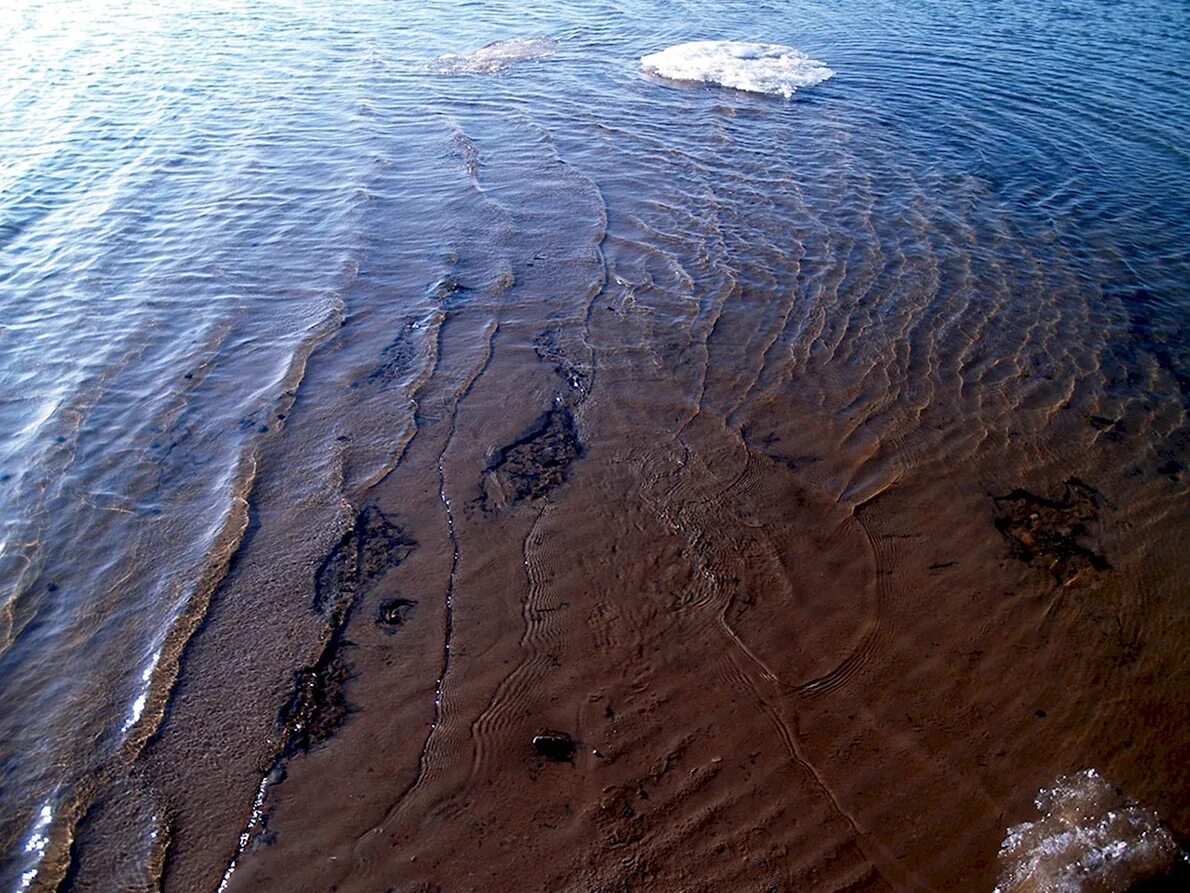 температура в обском. температура в обском. дикие пляжи на обском водохранилище. температура в обском. пляж старый бердск.