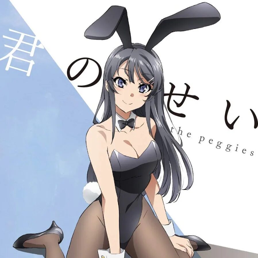 Мечты девочки зайки 18. Сакураджима май в костюме зайки. Seishun buta Yarou WA Bunny girl Senpai no Yume wo Minai.