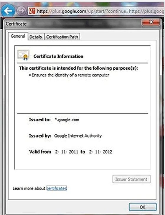 Wildcard-сертификат. Сертификат с поддоменами. SSL сертификат с защитой поддоменов. Wildcard сертификат как проверить.