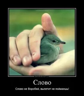 1 не воробей вылетит не поймаешь