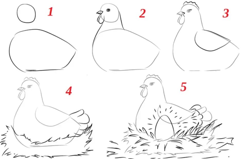 Как нарисовать курицу поэтапно. Как нарисовать курицу карандашом поэтапно. Поэтапный рисунок курицы. Рисунок курица для детей пошагово.