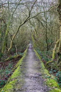 Path zip