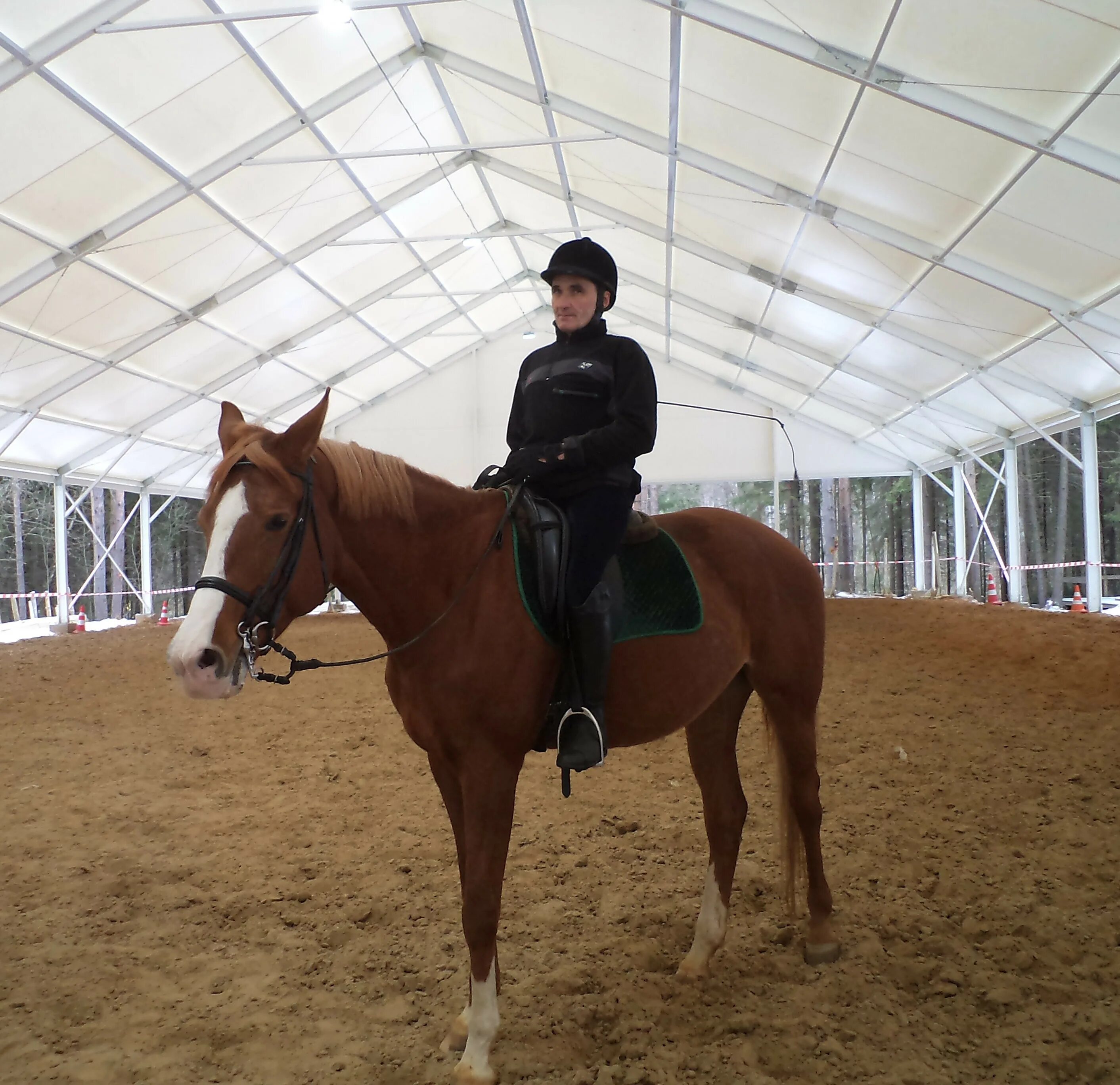 Манеж kindwood мелодия. День победы цирк фильм с паниным. Мастера манежа. Башкиров нижнетагильский цирк. Мастера манежа.