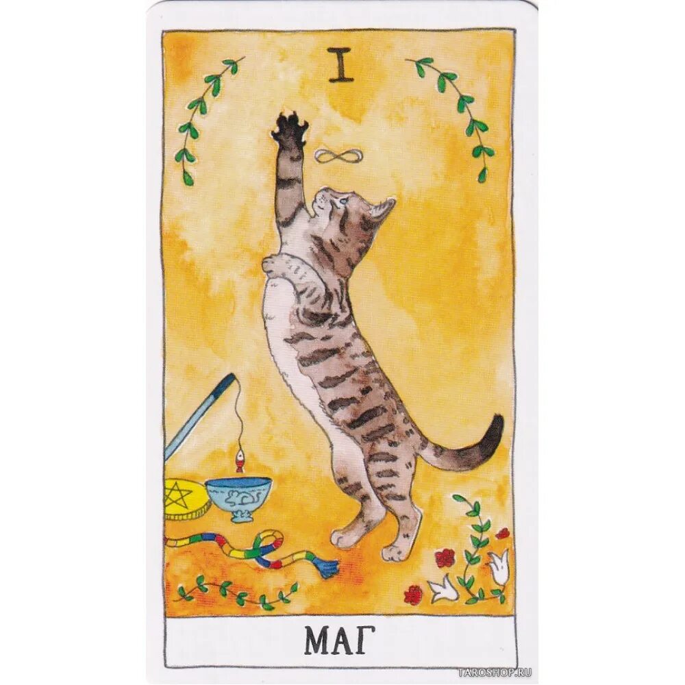 Таро кошек линн котт. Таро кошки оракул. Таро котов. Таро с котиками. Таро котиков.