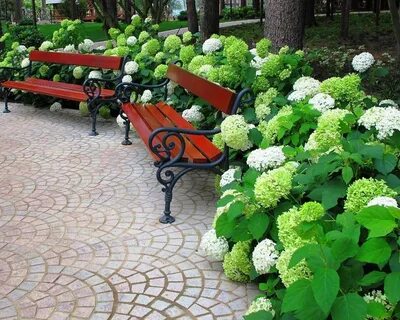 Садовый дворик интернет