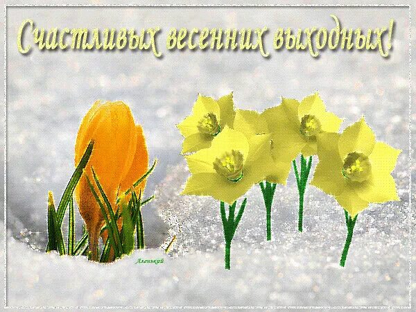 Март воскресенье утро. Весенних выходных и отличного настроения. Доброго весеннего дня. Теплого весеннего дня. Весенний день.