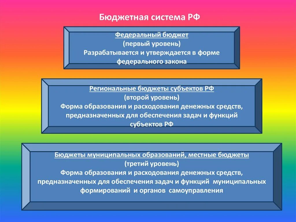 Функции государственных и муниципальных бюджетов