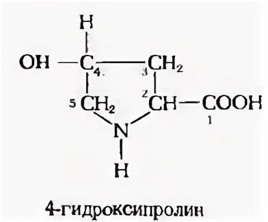 Модификация аминокислот. Модификация аминокислот