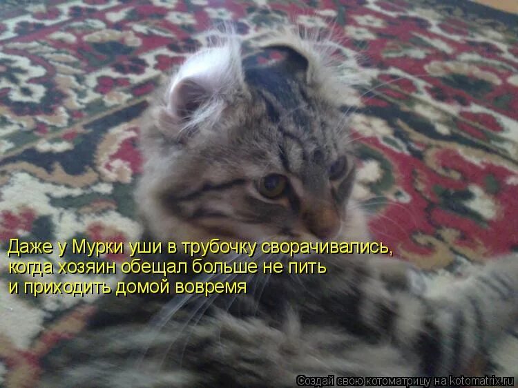 синоним к слову смешной. прикол синоним. богатство речи. прикол синоним. плохо синоним.