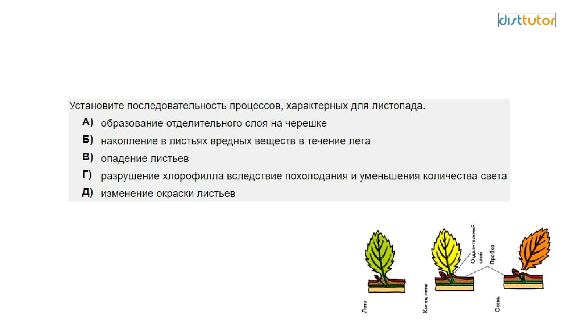 Огэ биология тест с ответами. Ботаника ЕГЭ биология. Задания по ботанике. Ответы ЕГЭ по биологии. ЕГЭ вопросы по ботанике.