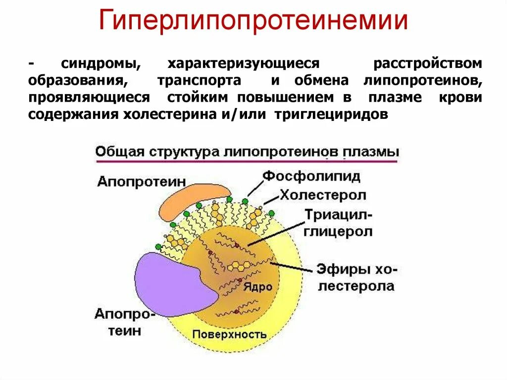 Схема строения липопротеинов плазмы крови. Схема строения липопротеина плазмы крови. Строение липопротеинов плазмы крови. Строение липопротеинов.