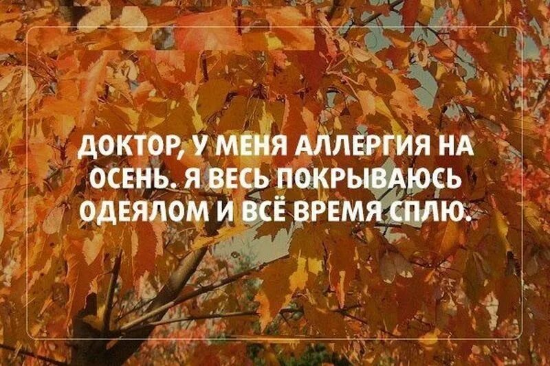 Наступил сентябрь наступила осень. Шутки про осень. Анекдоты про осень в картинках. Осенние статусы прикольные. Анекдот про ОС.