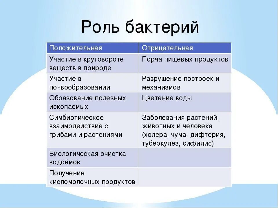 4 значения бактерий. Положительная и отрицательная роль бактерий. Положительная роль бактерий в жизни человека. Положительная роль микроорганизмов. Значение бактерий положительные и отрицательные.