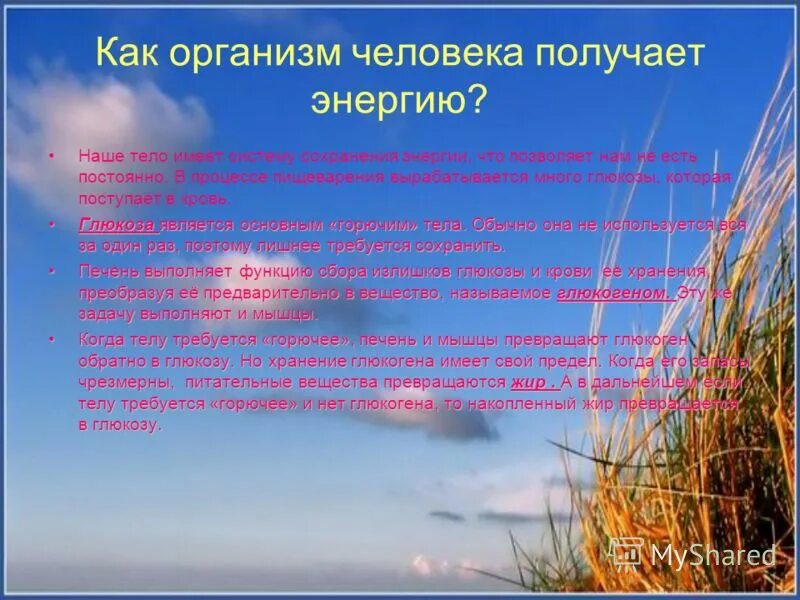 Дать определение слову жизнь. Дать определение слову жизнь