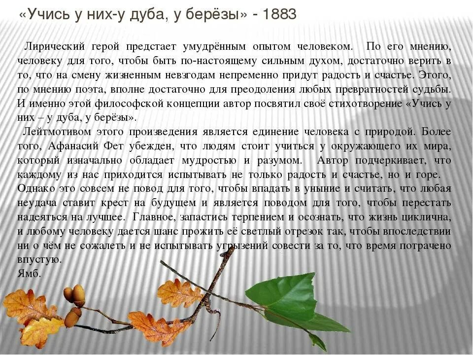 Учись у них фет анализ. Анализ стихотворения Фета учись у них у дуба у березы. Анализ стихотворения учись у них у дуба у березы. Стихотворение учись у них у дуба у березы. Стихотворение Фета учись у них у дуба у березы.