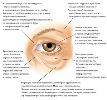 Почему нижнее веко