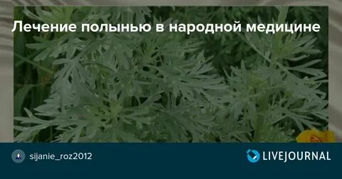 Полынь ноги