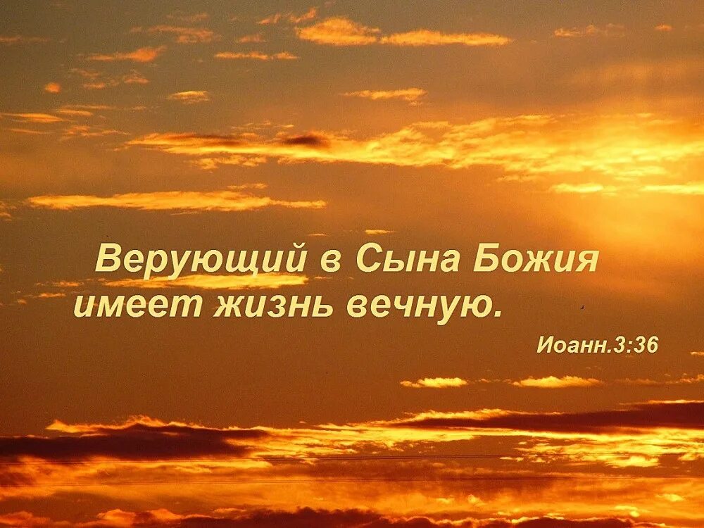 Верующий это. Веруя в сына Божия имеете жизнь вечную. Плоды духа Святого. Надеющийся на Бога. Верующий в сына Божия имеет жизнь.