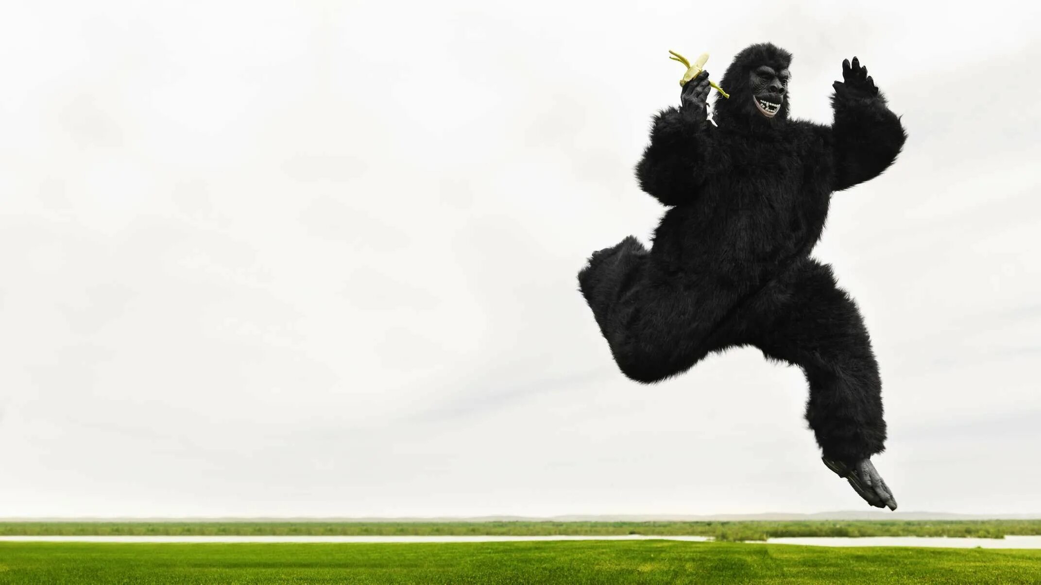 Look the monkeys are running