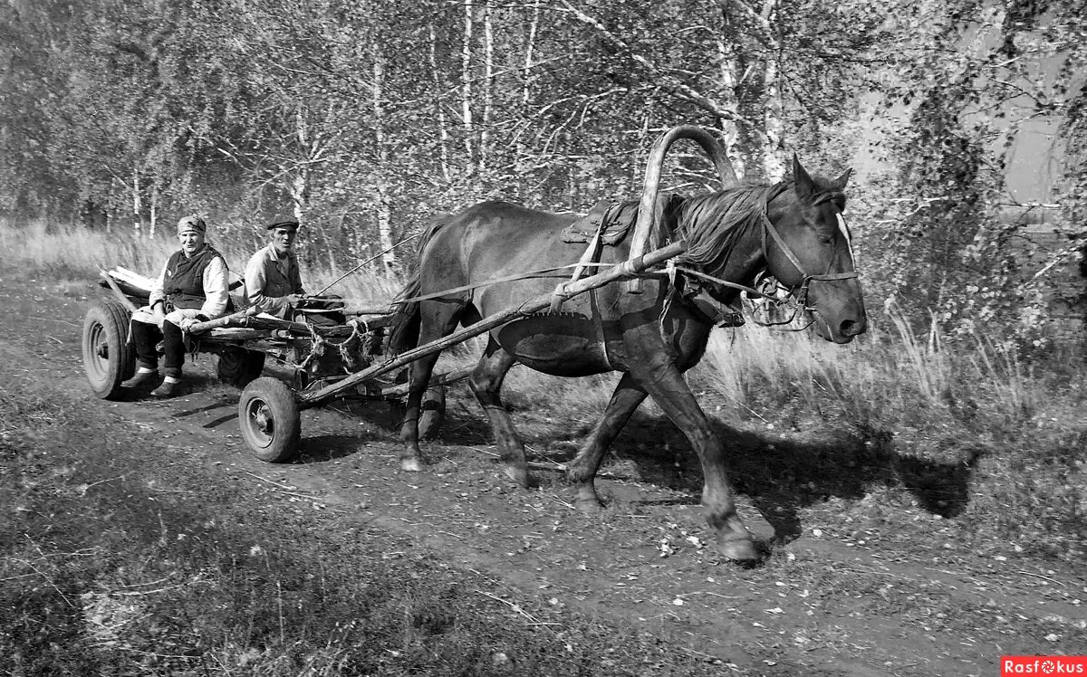 Обоз фотографии. Телега запряженная лошадью мистика деревня. Деревенские будни. Деревенские мужики запрягают лошадей. Невдалеке стояла телега запряженная