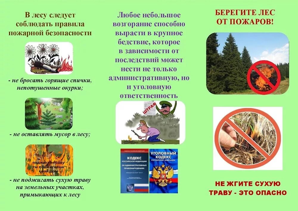 Пожар листовка по профилактике. Буклет на тему защита леса. Листовки правила поведения в лесу. Памятка береги лес от пожара. Буклет по пожарной безопасности в лесу.
