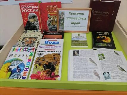 Заповедники мероприятие в библиотеке