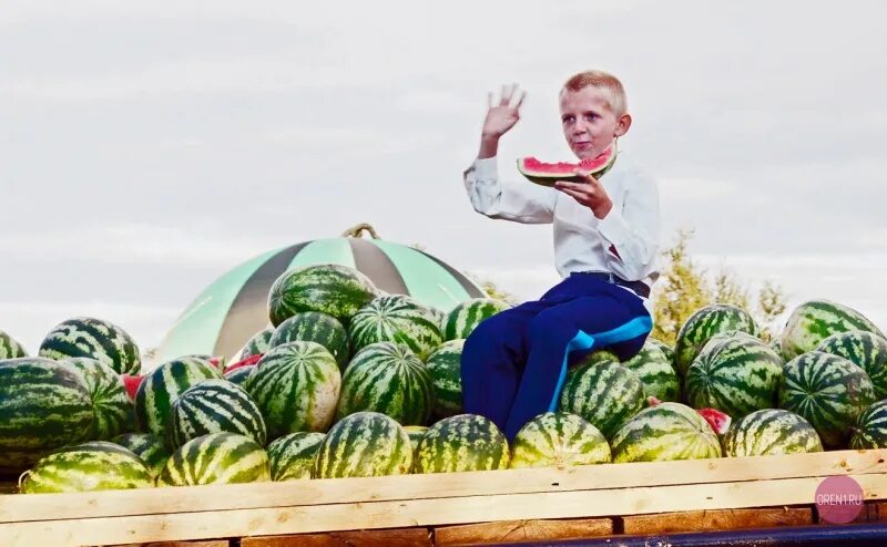соль илецкий сорт арбуза. Anton arbuzov. оренбург арбузы. арбузов оренбург. самый большой арбуз в соль илецке.
