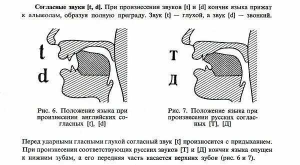 Английская артикуляция