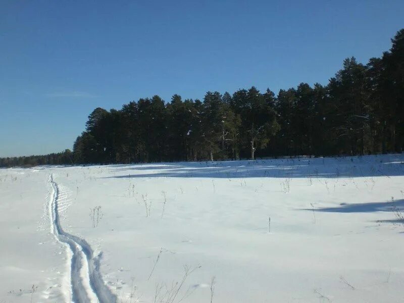 Уровень воды в ветлуге шарья на сегодня. Турбаза Ветлуга Галибиха. Турбаза Ветлуга Шарья. Турбаза Ветлуга Нижегородская область Воскресенский район. Ветлуга Трифакино.