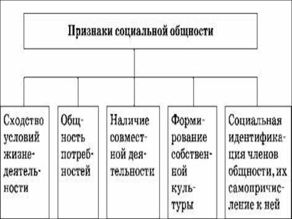 4 типа социальной общности. Признаки социальной общности. Социальные общности примеры. Виды социальных общностей. Социальные признаки.