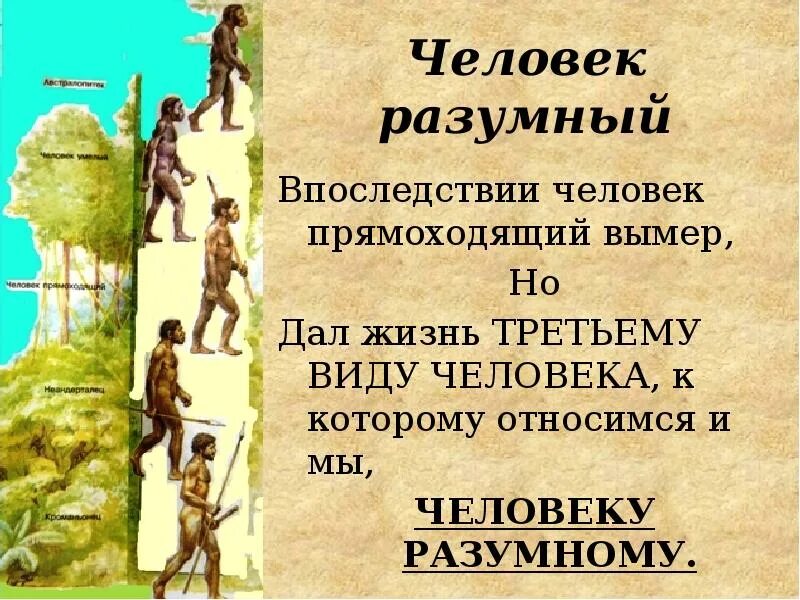 Группы человека разумного