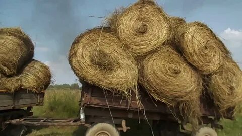 Телега видео
