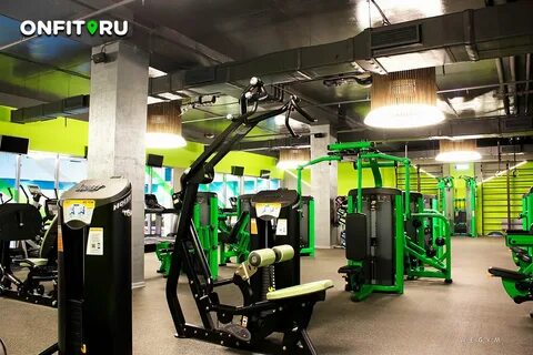 Wegym москва