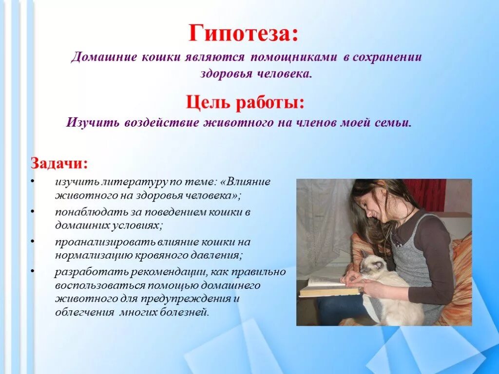 Исследовательская работа домашняя работа. Гипотеза на тему кошки. гипотеза на тему домашние животные. люди и кошки исследовательская работа. гипотеза на тему домашние животные кошки.