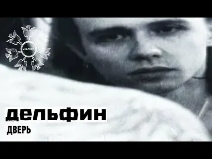 Песня дельфины исполнитель