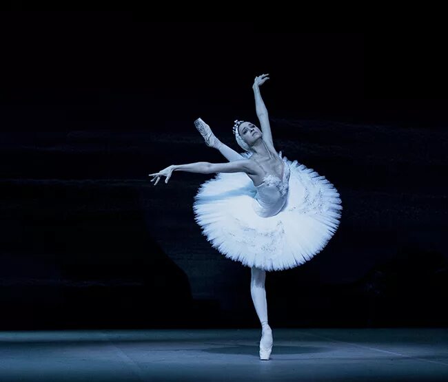 балет лебединое озеро 2012. лебединое озеро белый лебедь. Swan lake ballet english national ballet. майя плисецкая балет лебединое озеро. лебединое озеро афиша.