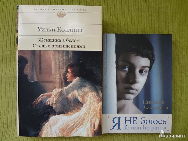 Уилки коллинз краткое содержание книг. Отель с привидениями уилки коллинз. отель с привидениями уилки коллинз книга. никколо амманити я не боюсь. я не боюсь книга никколо амманити.