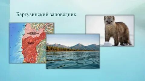 1 баргузинский заповедник