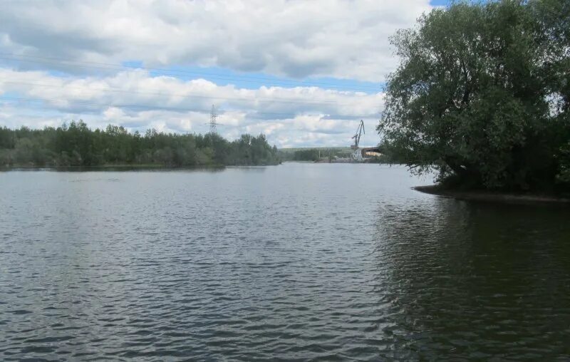 Река искитим. Река Бердь Искитим. Река Койниха Новосибирская область. Озеро Койниха Линево. Река Койниха Искитимский район.